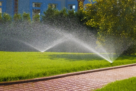 Sprinkler Blowouts